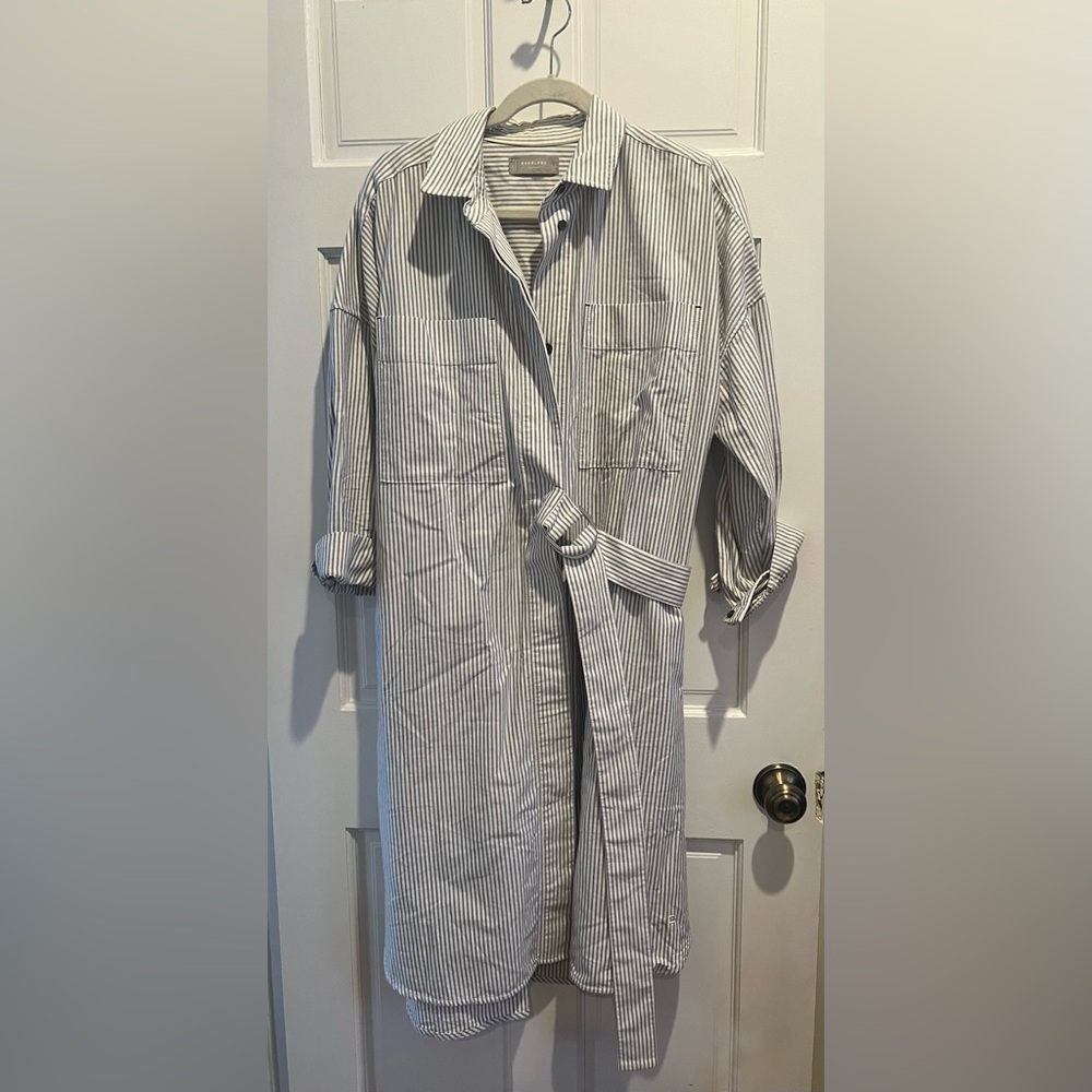 Everlane The Oxford Shirt Dress, Gray and White Striped Organic Cotton